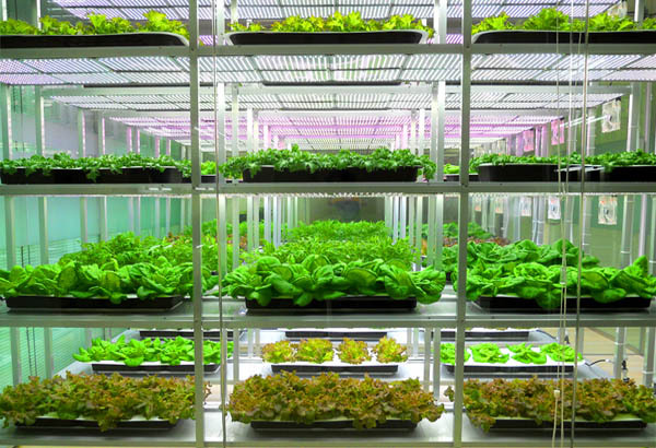 聚云位智攜手農(nóng)業(yè)大學(xué)共建實(shí)驗(yàn)室，智慧農(nóng)業(yè)邁入新階段