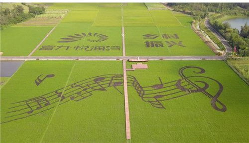 優(yōu)質(zhì)特種稻產(chǎn)業(yè)振興示范園簽約揭牌儀式圓滿舉行