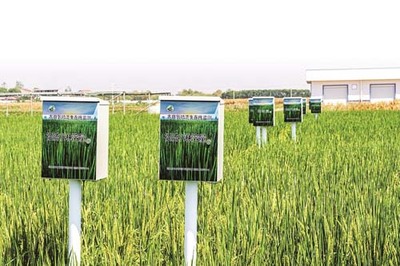 省農(nóng)科院鄂州基地 現(xiàn)代科技賦能，感受農(nóng)業(yè)發(fā)展的堅(jiān)實(shí)底氣