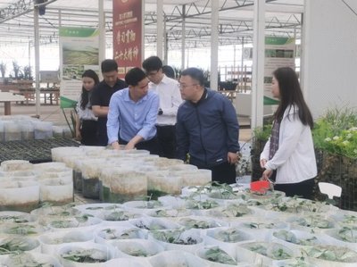 深入調(diào)研謀發(fā)展 院地合作促振興——花溪區(qū)委常委、組織部部長張楠一行蒞臨我院調(diào)研座談